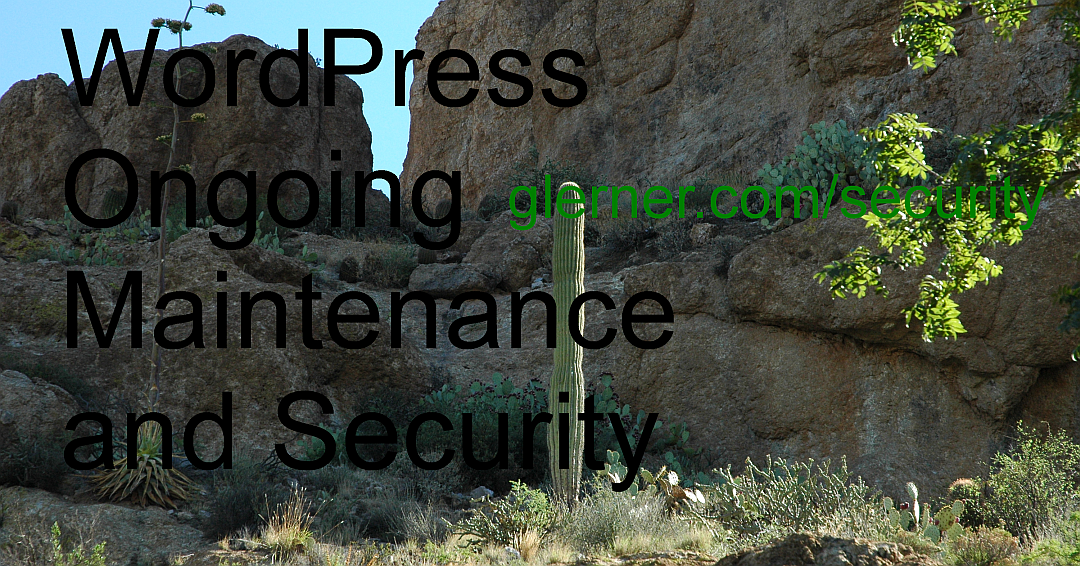 WordPress Ongoing Maintenance and Security https://www.glerner.com/security